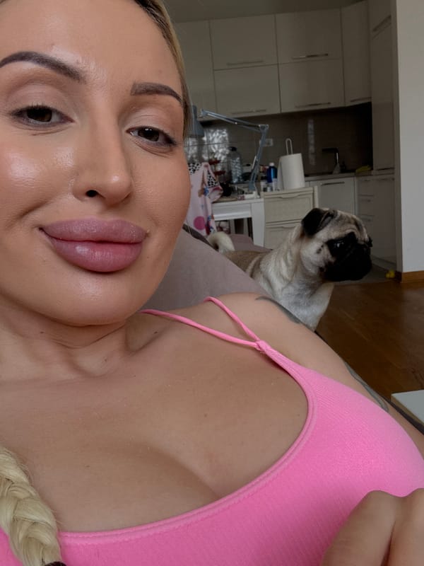 Indoor moment with a pug up close