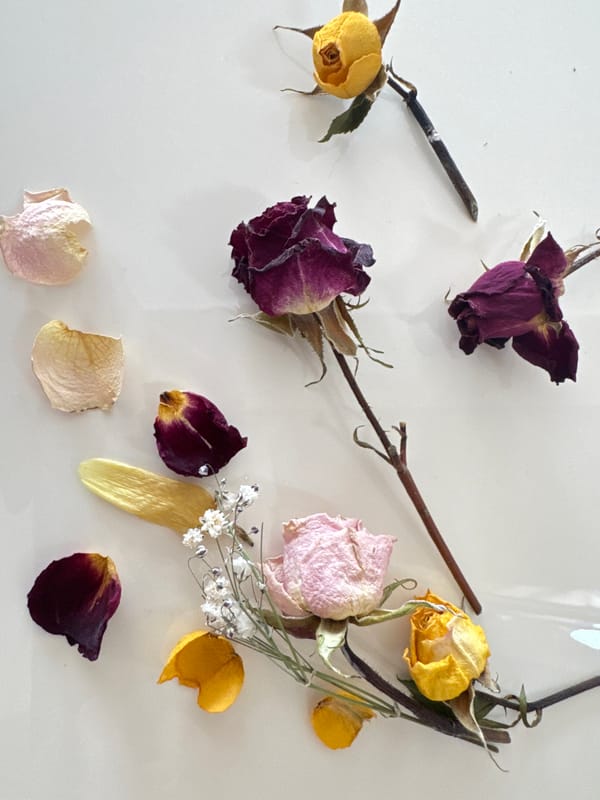 Artistic coffee and dried rose arrangement photographed in Varna