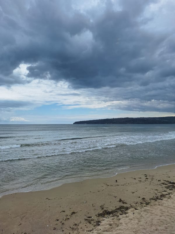 Morning stroll through overcast Varna coastline and gardens documented