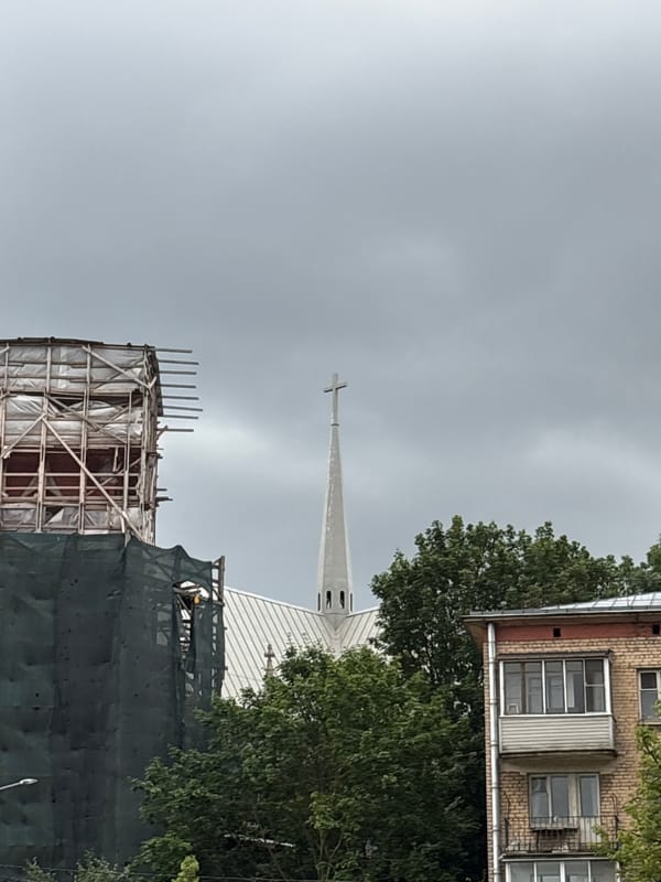 Church spires, renovation sites, and a duck pond in Saint Petersburg