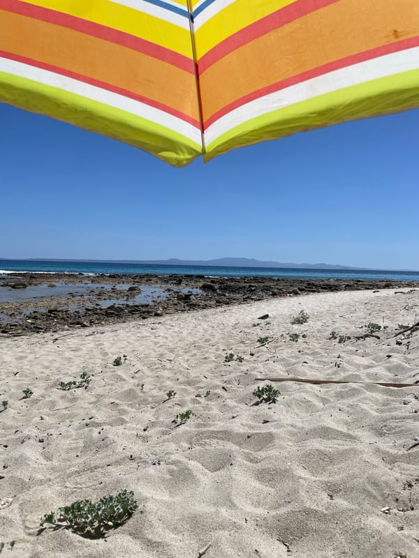 Sunny morning at a Kassandra beach with hillside views