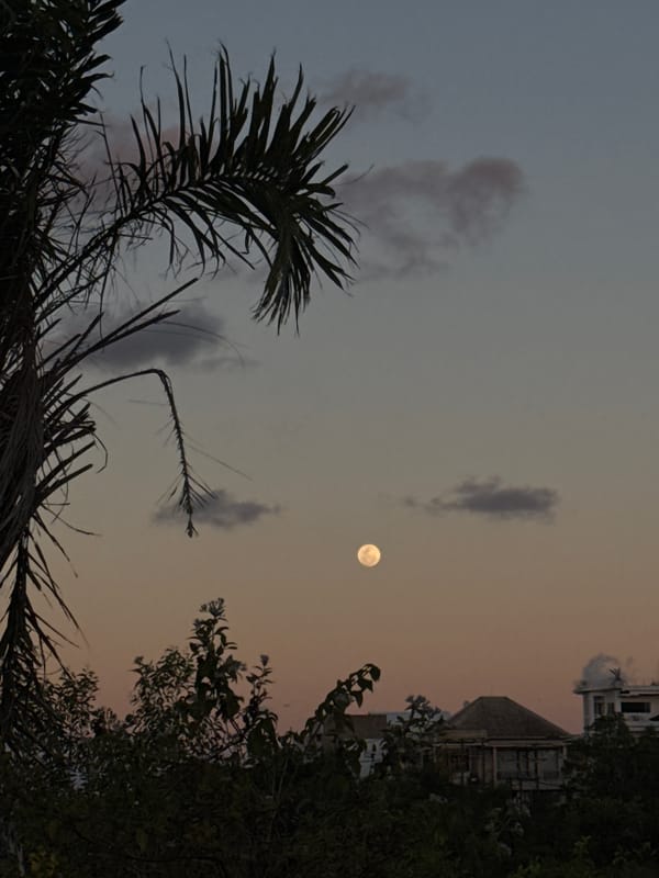 Sunset gathering on a Bali hillside with kites, dogs, and a rising moon