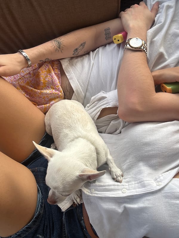 Couple relaxes with small dog on outdoor patio