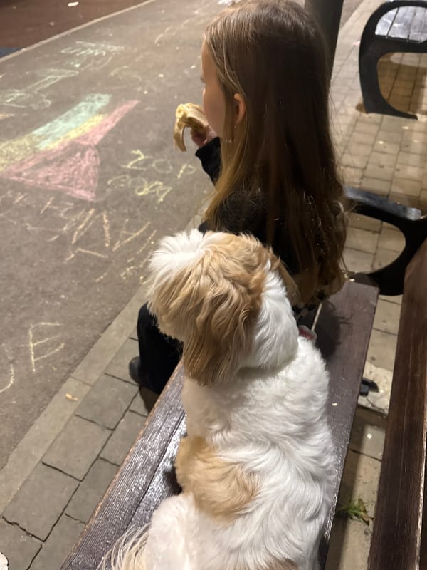 Evening playground gathering with dog captured in Bat Yam