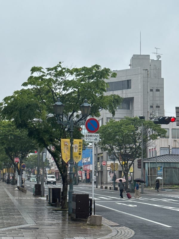 Woman swims in rooftop pool during rainy morning in Beppu
