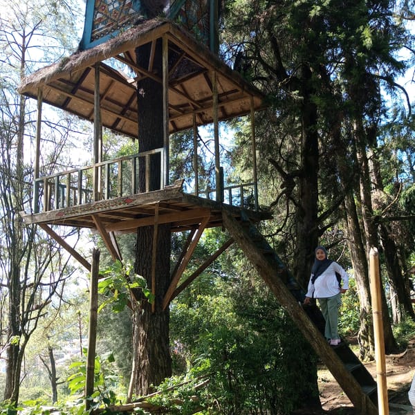 Rustic wooden treehouse built around a tree in Berastagi highlands