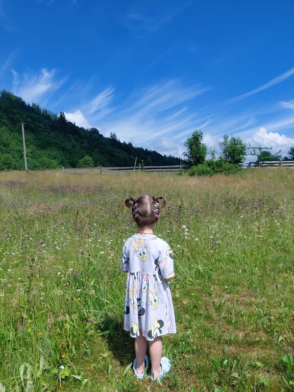 Summer morning in a Ukrainian wildflower field