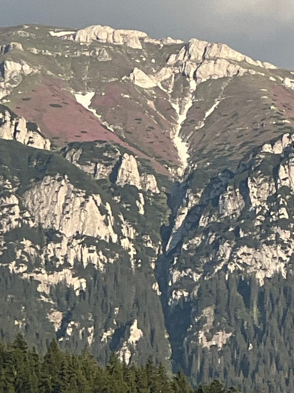 Rocky mountain range with forested slopes and a hillside village
