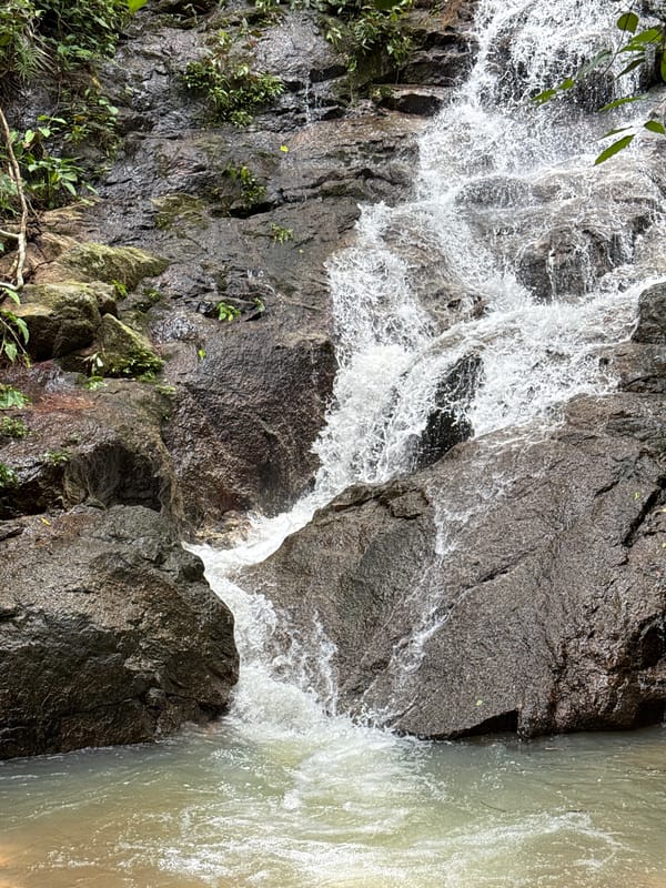 Waterfall and wildlife at a mossy Kathu nature spot