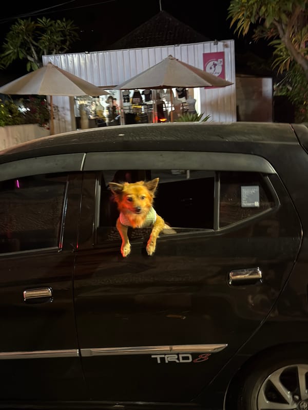 Night out on a busy Buleleng commercial strip during Galungan season