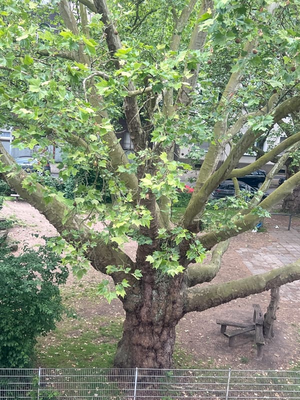 Urban and nature scenes documented across Herne, Germany