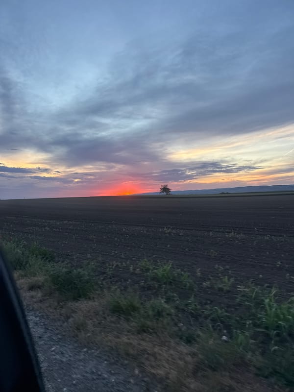 Sunset observed over field in Irig Municipality, Serbia