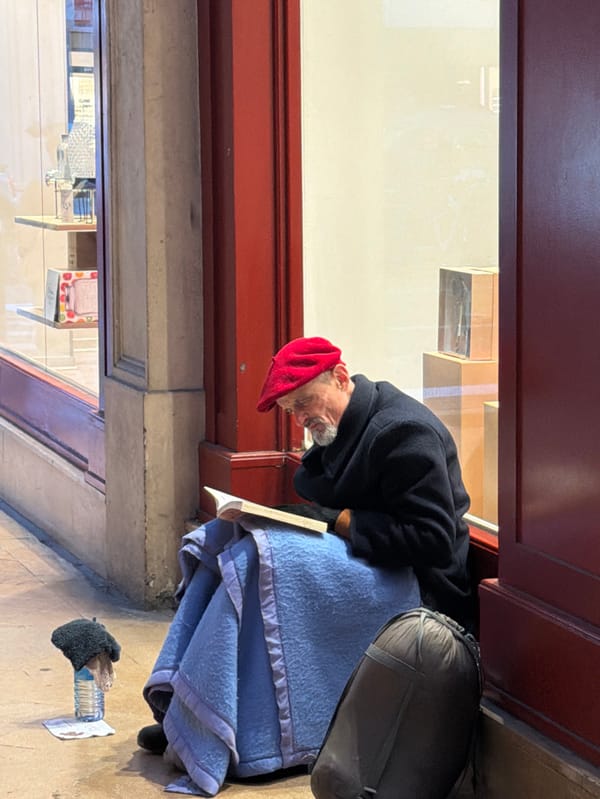 Daily life moments captured across Lyon during February afternoon