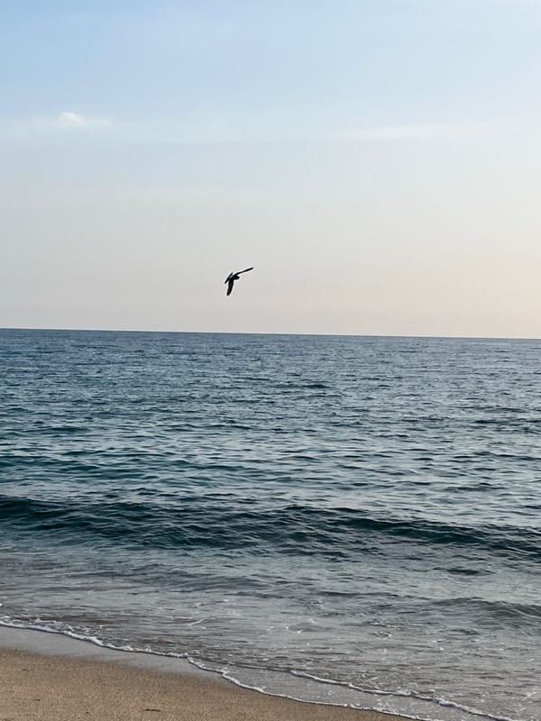 Man enjoys quiet fishing moment on Alanya beach