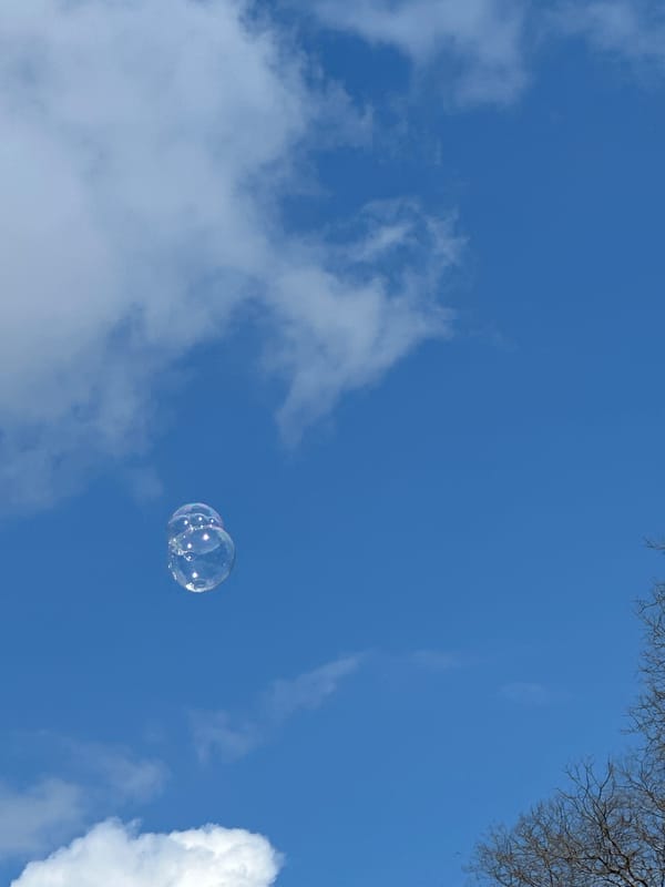 Child watches soap bubbles drift through spring blooms in Dobrich
