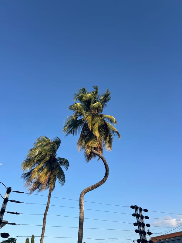 Street-level snapshots of Dar es Salaam on a clear afternoon
