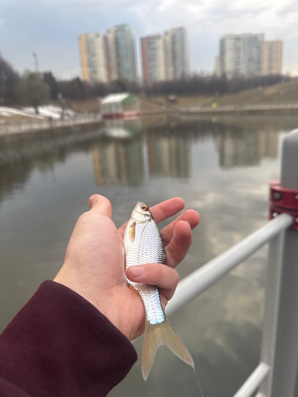 Small fish caught from Moscow waterway amid urban reflections