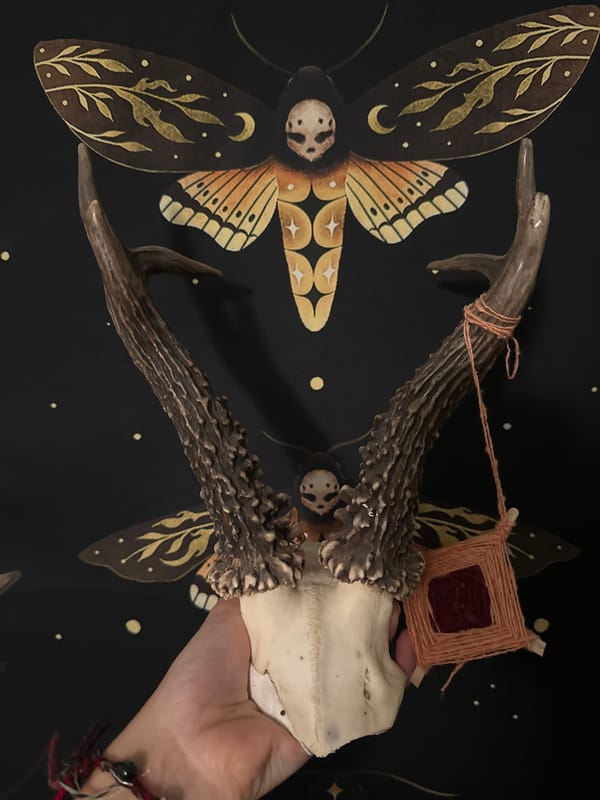 Pigeons, handmade crafts, and dark whimsy in Togliatti