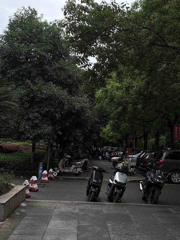 Graduation ceremony held in Nan'an District, Chongqing
