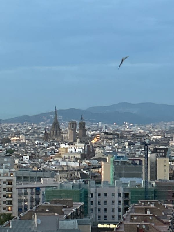Barcelona skyline captured during golden hour transition to night