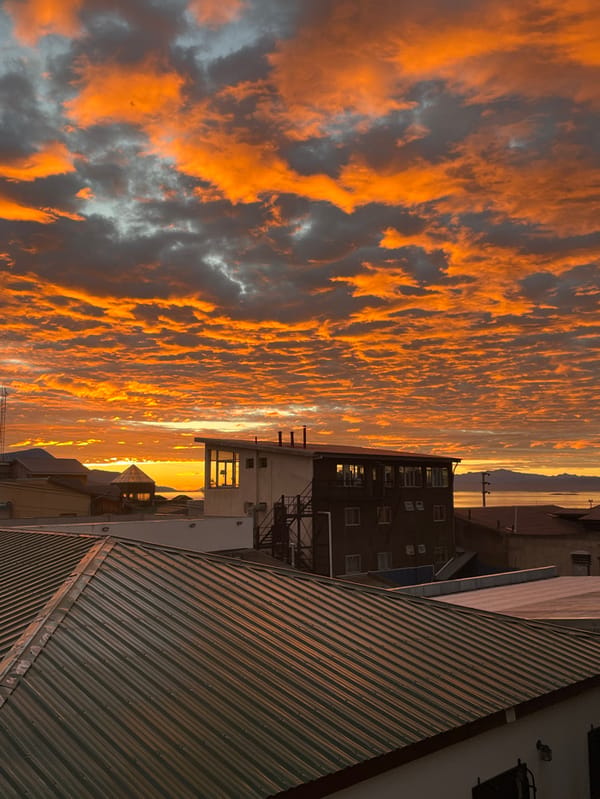 Cat watches dramatic sunset from Ushuaia windowsill