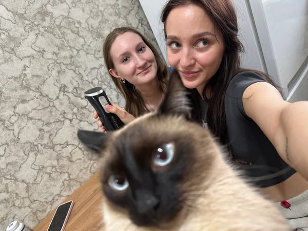 Women photograph hair grooming session with Siamese cat present