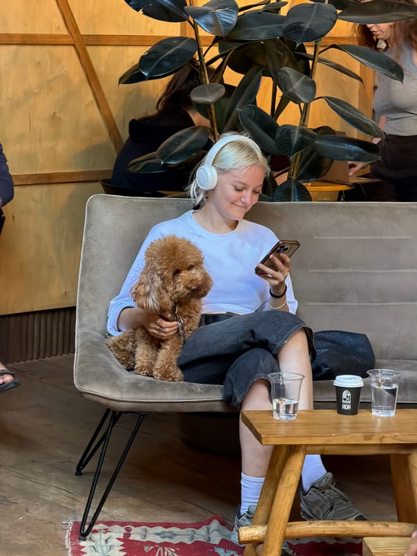 Quiet Sunday morning moments documented across Tel Aviv indoor spaces