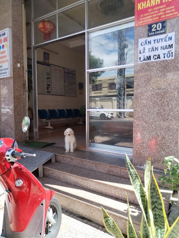Daily life snapshots captured across Bac Nha Trang Ward Vietnam