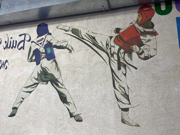 Street art, sports infrastructure, and logistics in Aktau