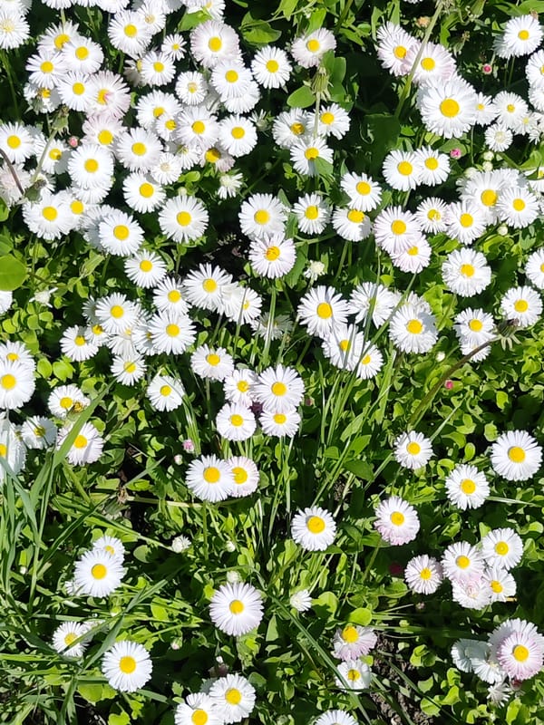 Morning nature photography session documented in Chaikovsky, Russia