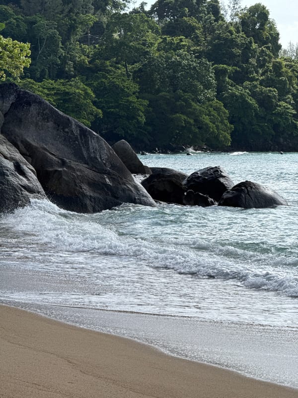 Lazy morning on the swings at Kamala Beach