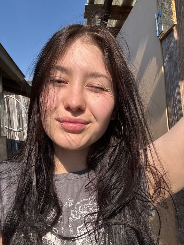Sunny day moments with cat captured in Foki, Russia