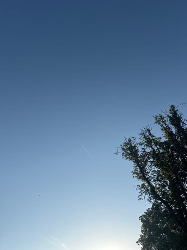 Person relaxes in Munich park under clear skies