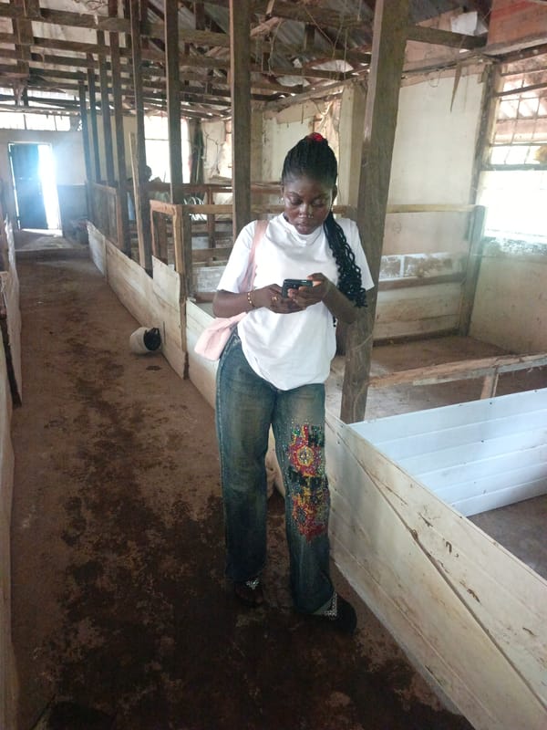 Cleanup and activity around a basic shelter and nearby building