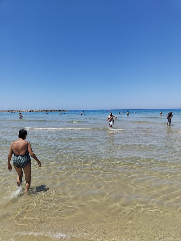 Jellyfish wash ashore on Tel Aviv beach during sunny morning