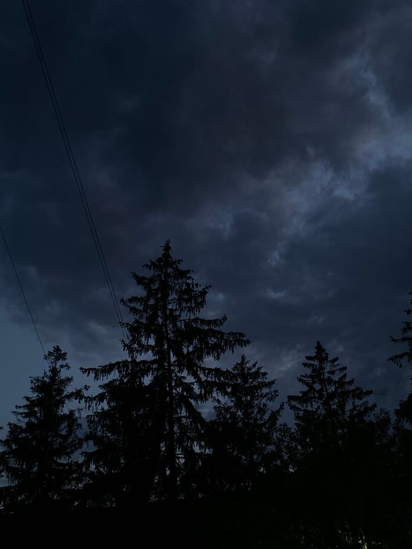 Mixed sky views and street scenes captured during overcast evening