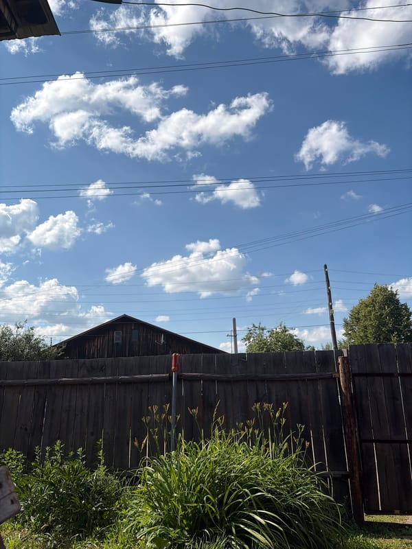 Summer morning snapshots from a rural Russian village