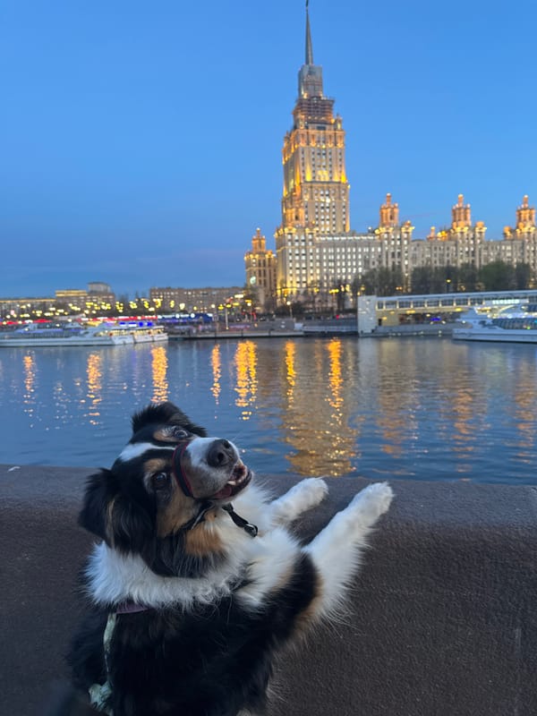 Woman poses with dog by Moscow river at dusk