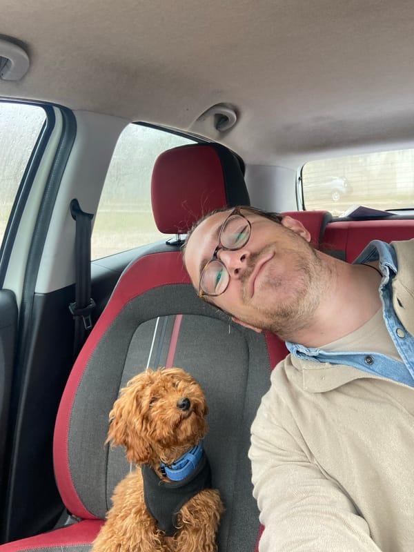 Person and dog's morning routine captured in Sutomore