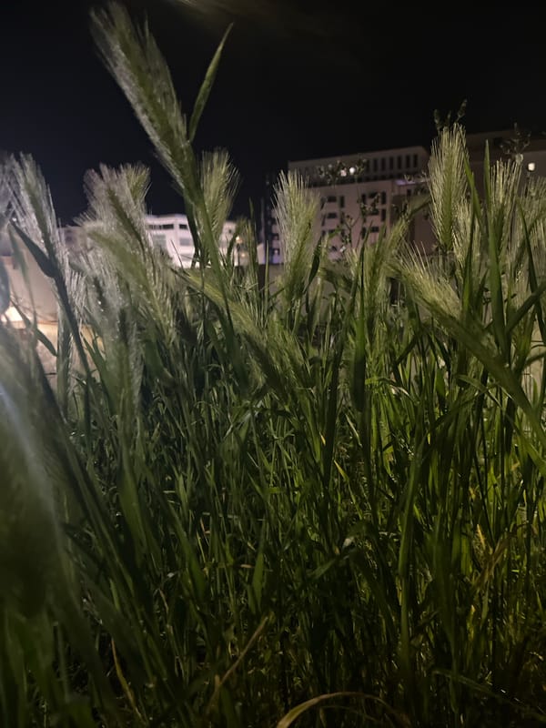 Quiet nighttime observations captured in Budva, Montenegro