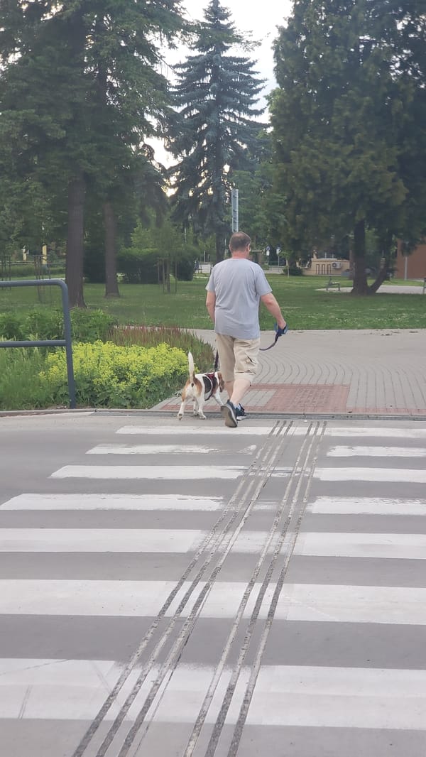 Evening life captured across Prešov parks and streets