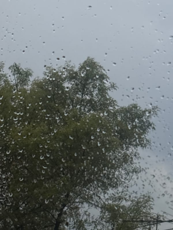 Rain observed through window in Mexico City evening