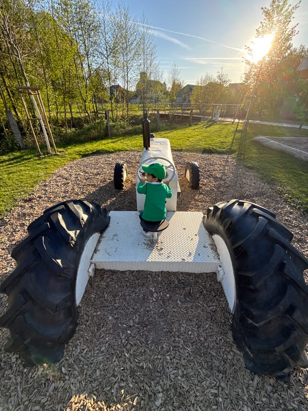 Child plays at rural Luxembourg playground, donkeys spotted nearby