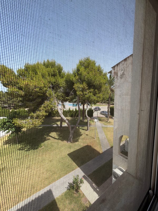 Pets, collectibles, and a quiet afternoon in Torrevieja
