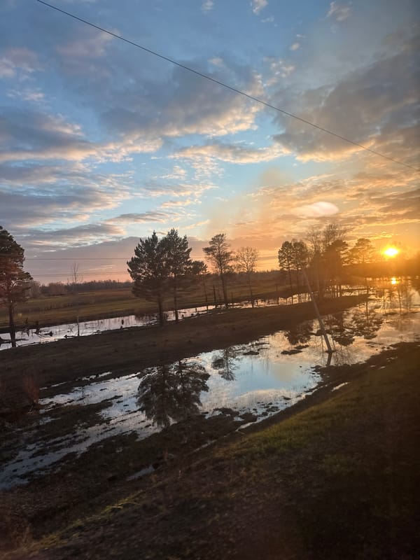 Golden sunrise captured over rural Elovoe, Russia countryside