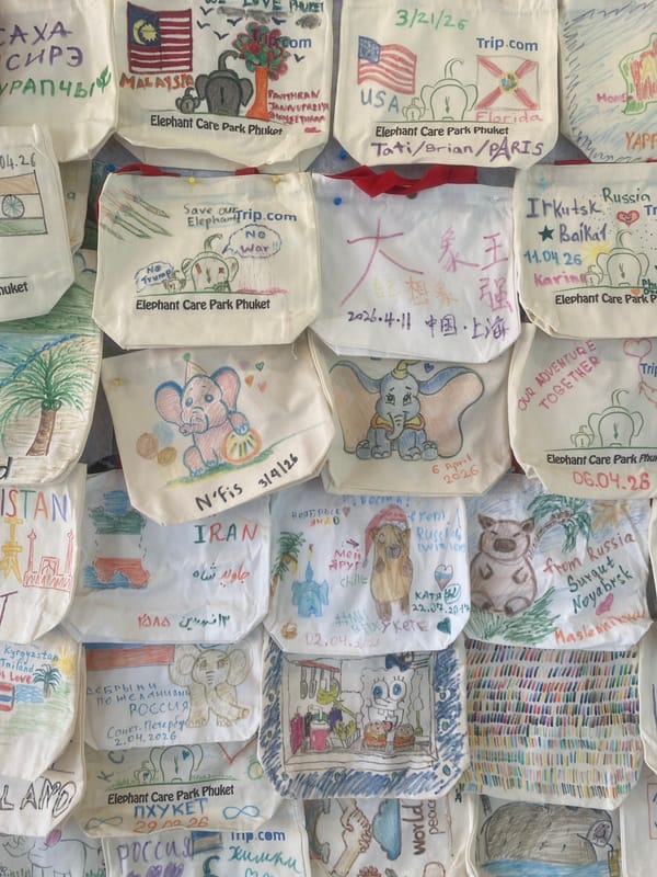 Tourist browses handmade fabric souvenirs at Thailand craft market