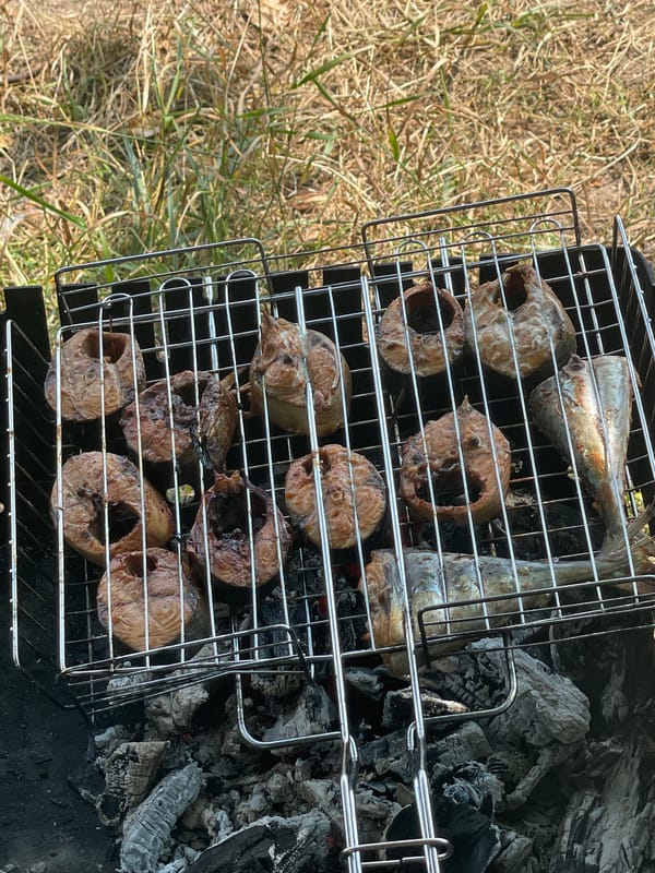 Lakeside cookout in rural Belarus with wildlife all around