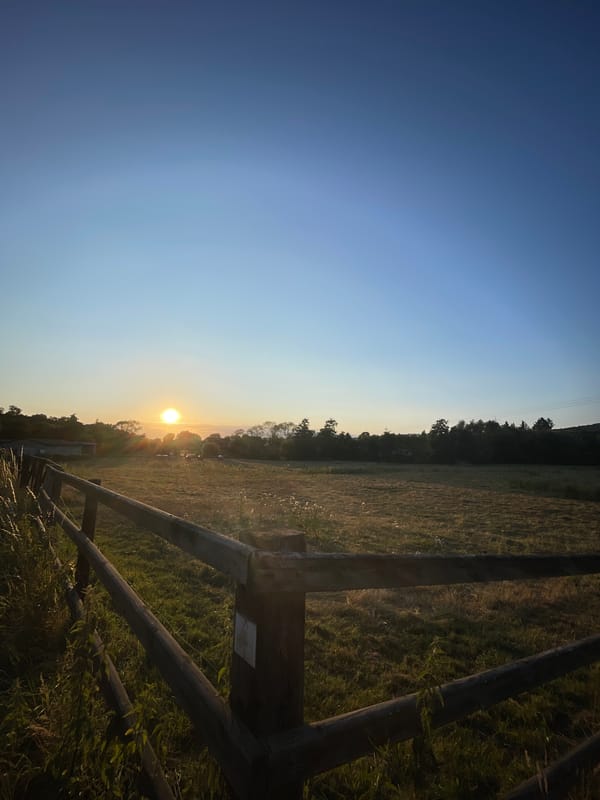 Golden hour along a wooden fence in rural Hesse