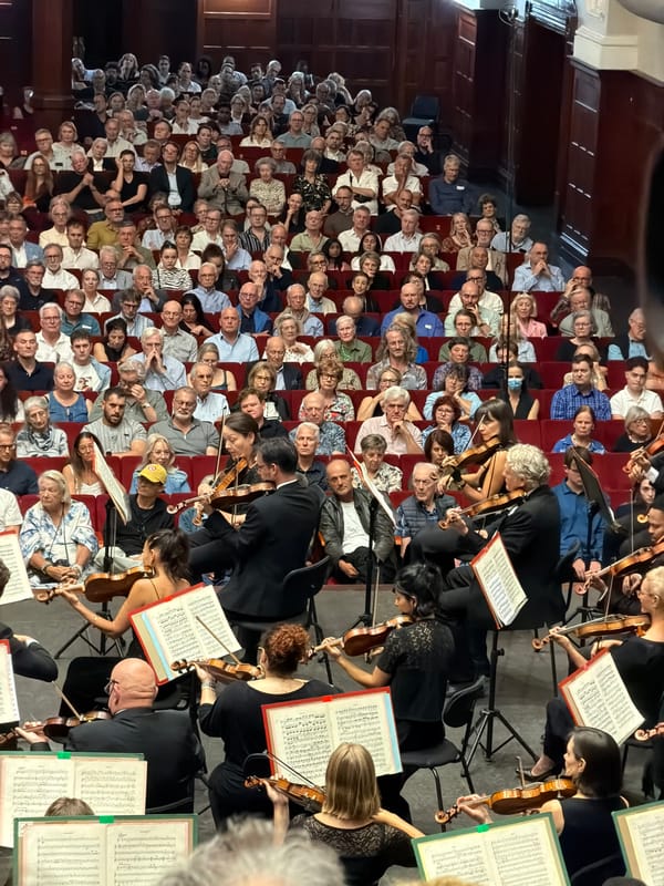 Classical concert performance documented at ornate Cape Town venue