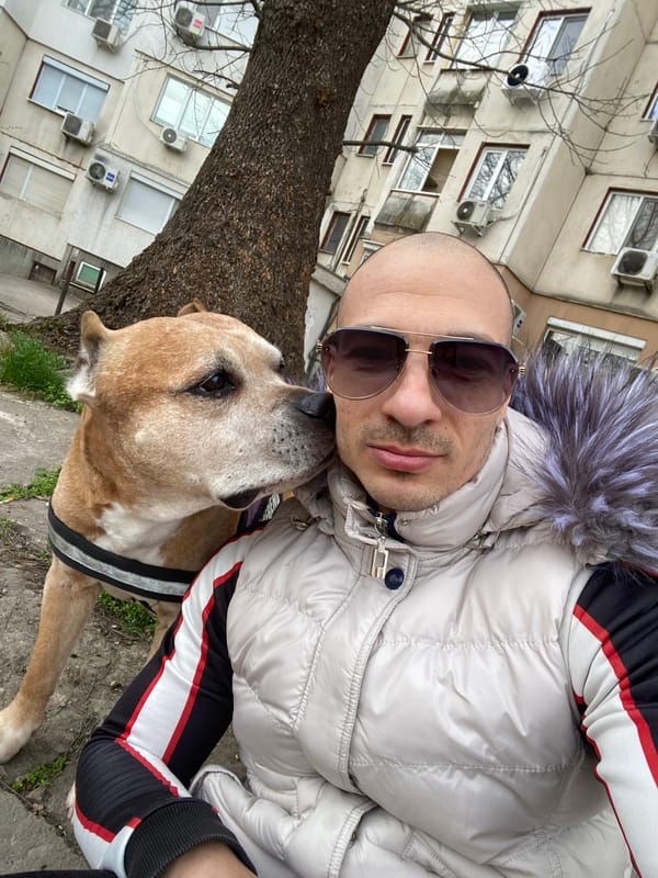 Daily life moments documented across Pleven, Bulgaria